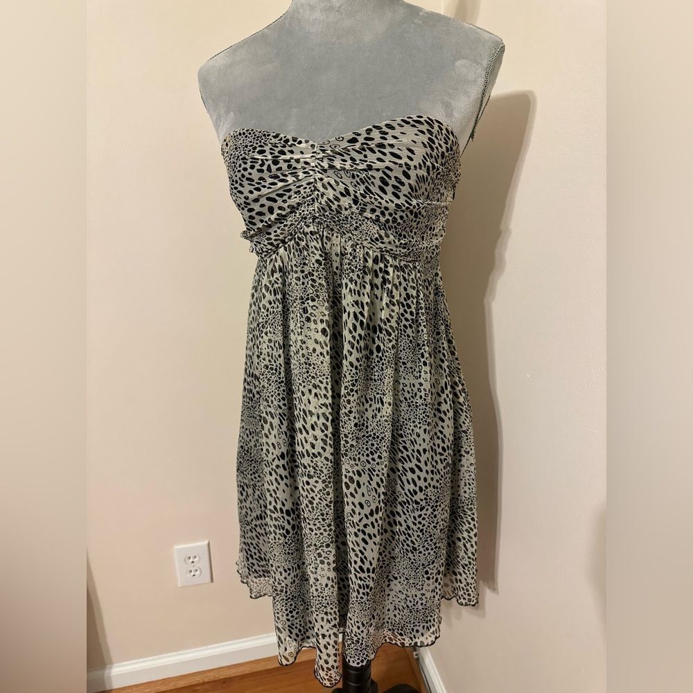 Express Dress